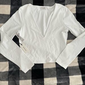 Aritzia Babaton Contour Long Sleeve Crop